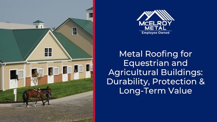Metal Roofing for Equestrian and Agricultural Buildings: Durability, Protection & Long-Term Value