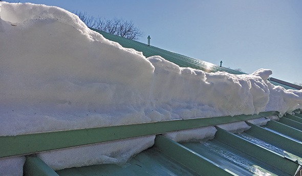 ColorGard Snow Retention Ideal Application